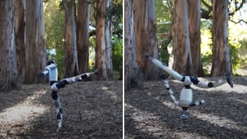 De correr a hacer volteretas: así la IA que amplía las habilidades de los robots humanoides