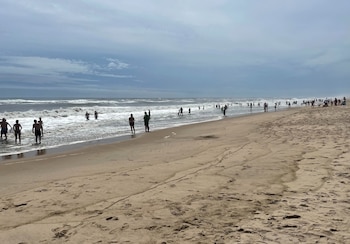 Long Island alberga el único criadero conocido de tiburones blancos jóvenes en el Atlántico (REUTERS/Leela de Kretser)