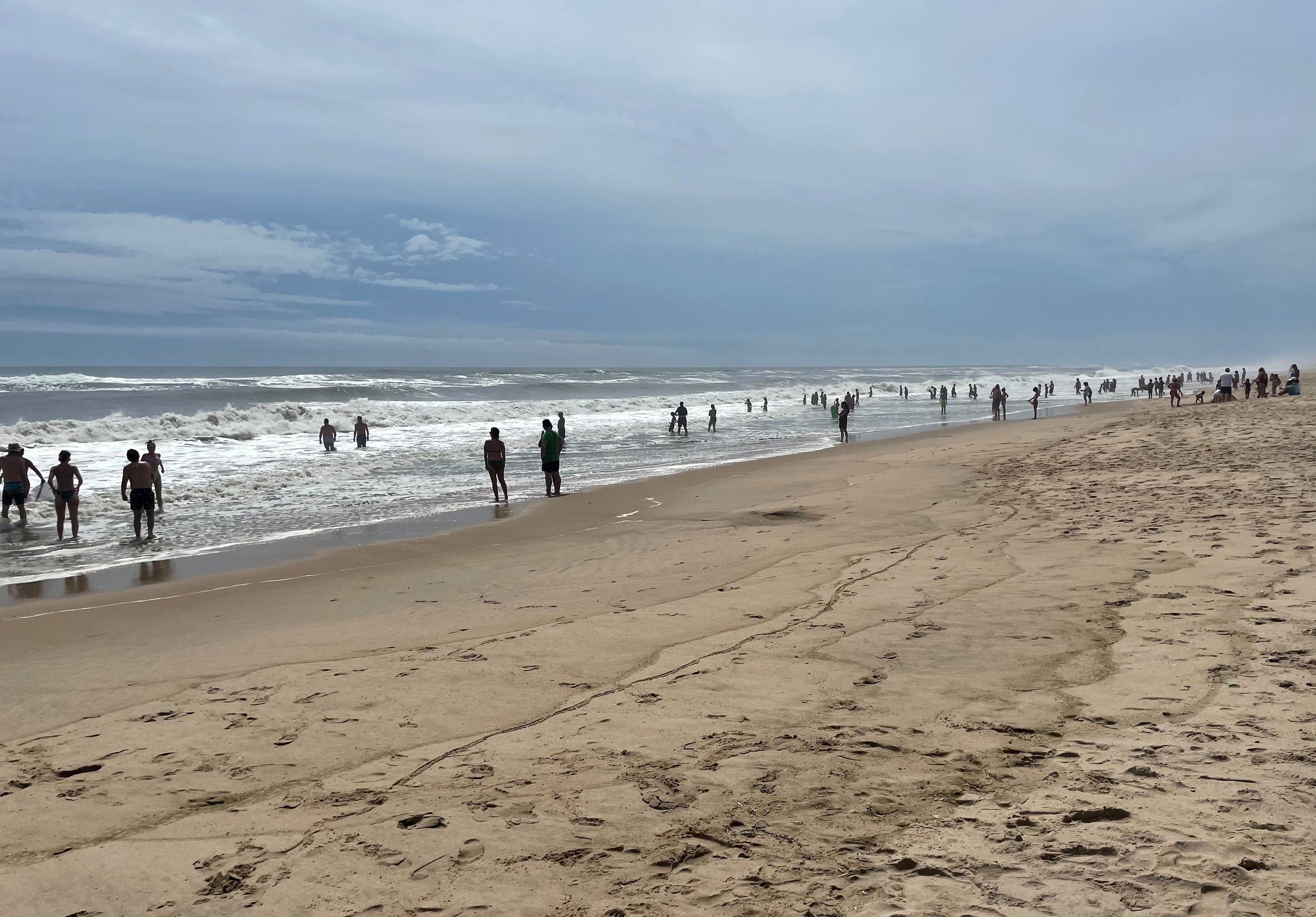 Long Island alberga el único criadero conocido de tiburones blancos jóvenes en el Atlántico. (REUTERS/Leela de Kretser)