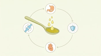 Infografía plana sobre un fondo crema claro con una cuchara de aceite de oliva y gotas de limón. Íconos de estómago, escudo, corazón y articulación la rodean.