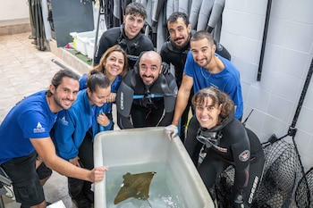 El equipo de Oceanogràfic de