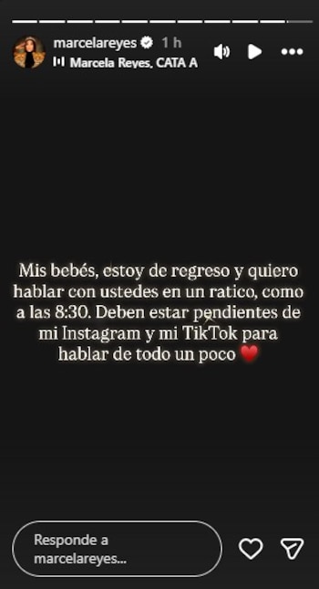 La DJ anunció que realizará