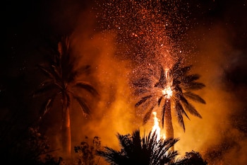 El director de la Corporación