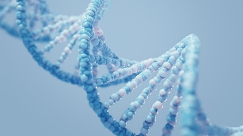 Un análisis de sangre basado en ADN podría ayudar a orientar el tratamiento del cáncer de garganta