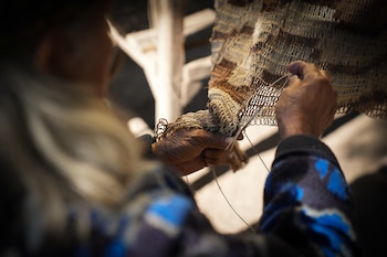 Cultura wichí: el saber ancestral sobre el tejido con las fibras de la planta del chaguar -prendas y objetos- es único e irrepetible