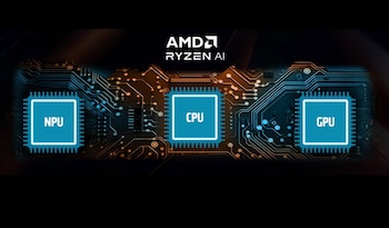 El segmento de PC con