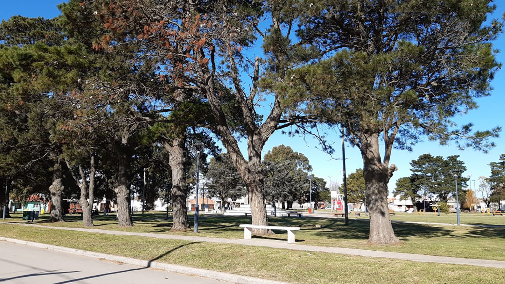 La Plaza San Martín que es donde estaba la cancha de Ferroviarios, el equipo del barrio de Fangio. Está a tres cuadras de su casa y aún tiene la arboleda de aquellos años (Gentileza Javier Delle Rose).