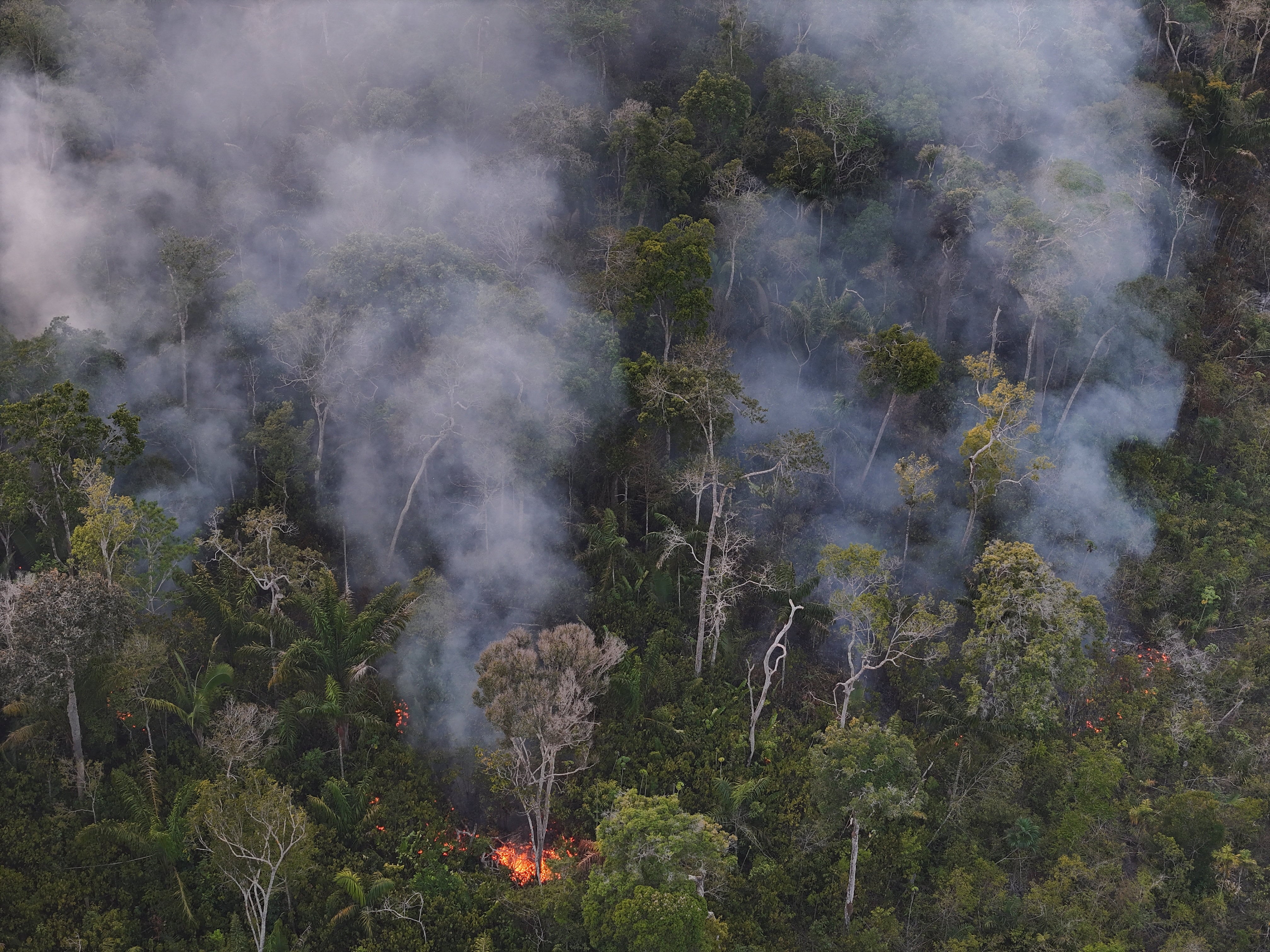 Los investigadores demandaron una política de deforestación cero ante la detección de más de 41.200 focos de fuego en 2026. (REUTERS/Bruno Kelly)