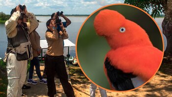 Perú se prepara para recuperar