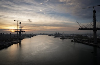 Vista aérea de un río o bahía con dos estructuras de puente en construcción y grúas, flanqueado por infraestructura portuaria e industrial bajo un cielo nublado con el sol bajo; aves vuelan sobre el agua
