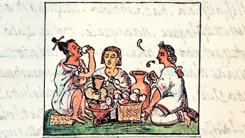 Este alimento se recolectaba en