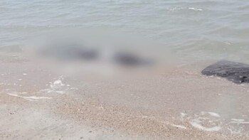 Fiscalía investiga muerte de 8