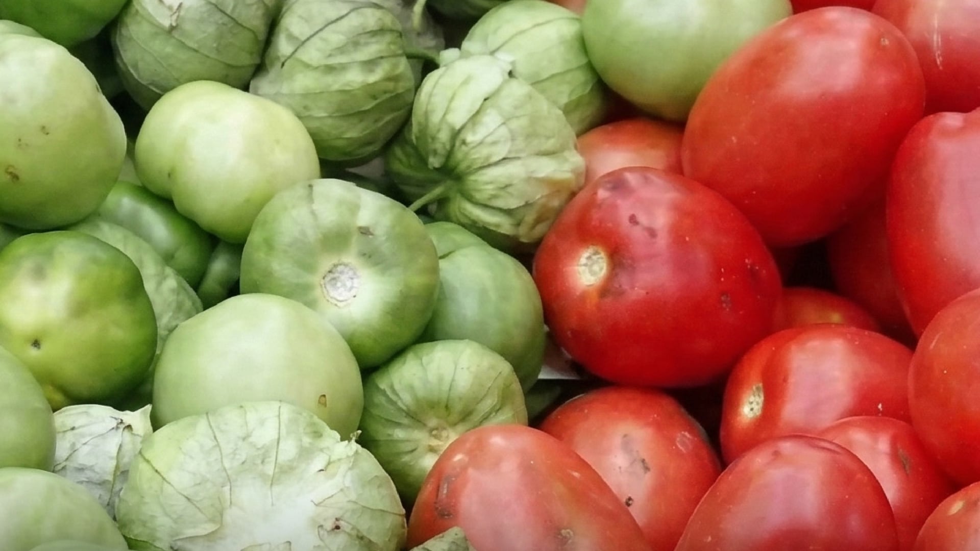 El precio del jitomate ha incrementado en las últimas semanas en México. (Profeco)