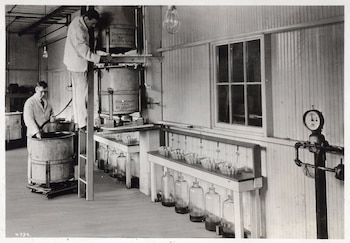 Mick Moss trabaja en la