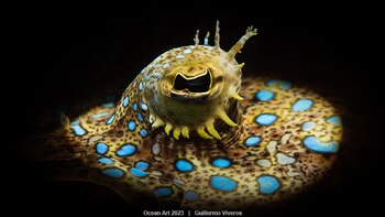 "El Ojo" 5º puesto en