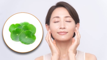 Esta planta ayuda a combatir