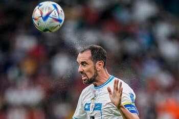 Diego Godín (AP Foto/Abbie