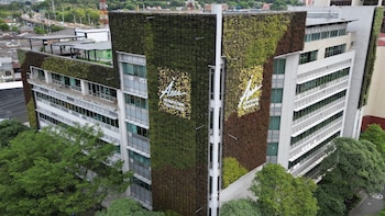 Defensa de exsubdirectoras del Amva