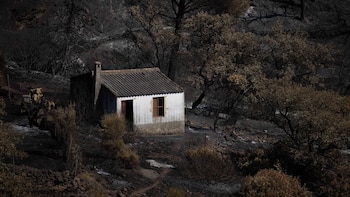 Berrocal pedirá la declaración de zona catastrófica tras el incendio: "El verdadero drama empieza ahora"