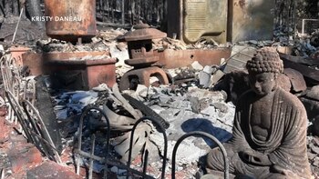 La comunidad ha mostrado apoyo