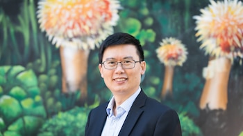 Los picos de contaminación por