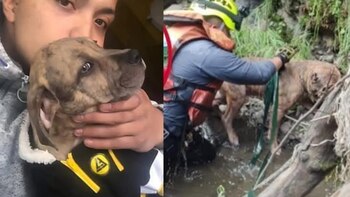 Joven se lanzó a un