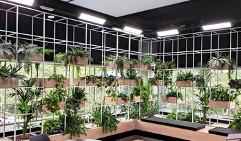 Jardín de la casa de