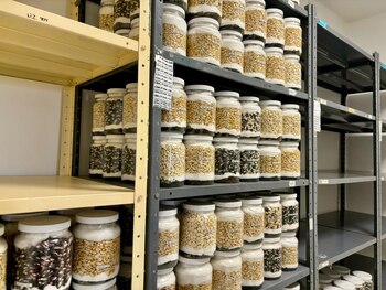 El recinto permite el análisis