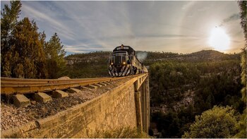 ¿Cuál es la familia más