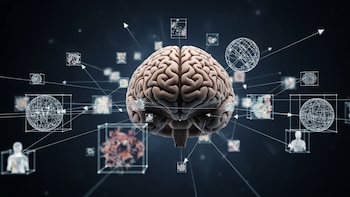 Cómo funciona realmente nuestra imaginación