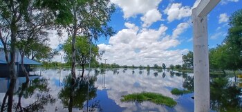 Según el Comité de Crisis,