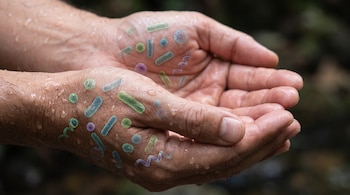 Dos manos humanas juntas con gotas de agua e ilustraciones de bacterias y virus flotando sobre la piel.