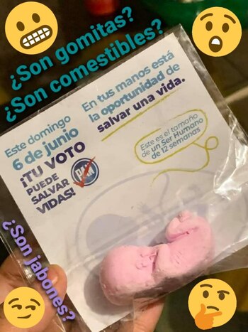 feto-jaime cedillo-mexico-02062021