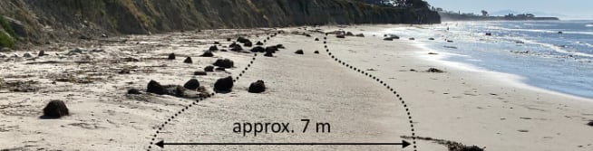 Las pulgas de mar eligen sectores con humedad intermedia en las playas para excavar sus madrigueras y remover el sustrato (Gentileza, estudio Megamontones: Los talítridos excavadores ( Megalorchestia spp.) excavan grandes cantidades de arena en las playas de California, publicado en Journal of Geophysical Research: Earth Surface)
