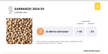 La siembra de garbanzo estimada