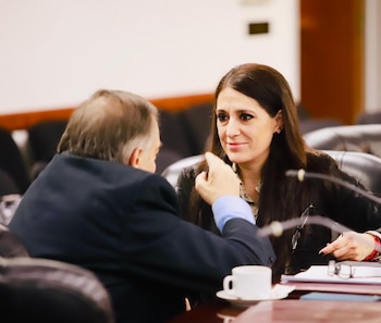Alberto Lugones y Alejandra Provítola, representantes del estamento de los jueces, votaron en contra del dictamen que propone sancionar a Carlos Hugo Goggi y advirtieron sobre el impacto de la medida en la independencia judicial