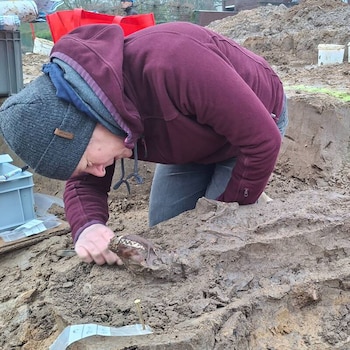 Los restos bien conservados de