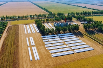 Silobolsas en el campo