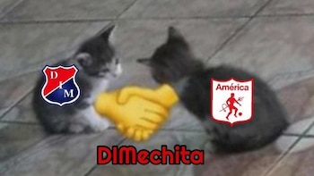 Los mejores memes que dejó