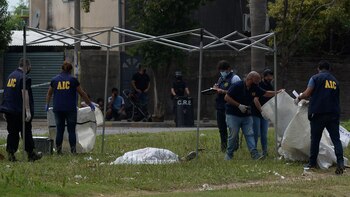 Los peritos sí establecieron que