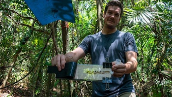 Hombre con camiseta gris en un bosque denso sostiene un dispositivo transparente con abejas, sujetado con pinzas y un frasco pequeño
