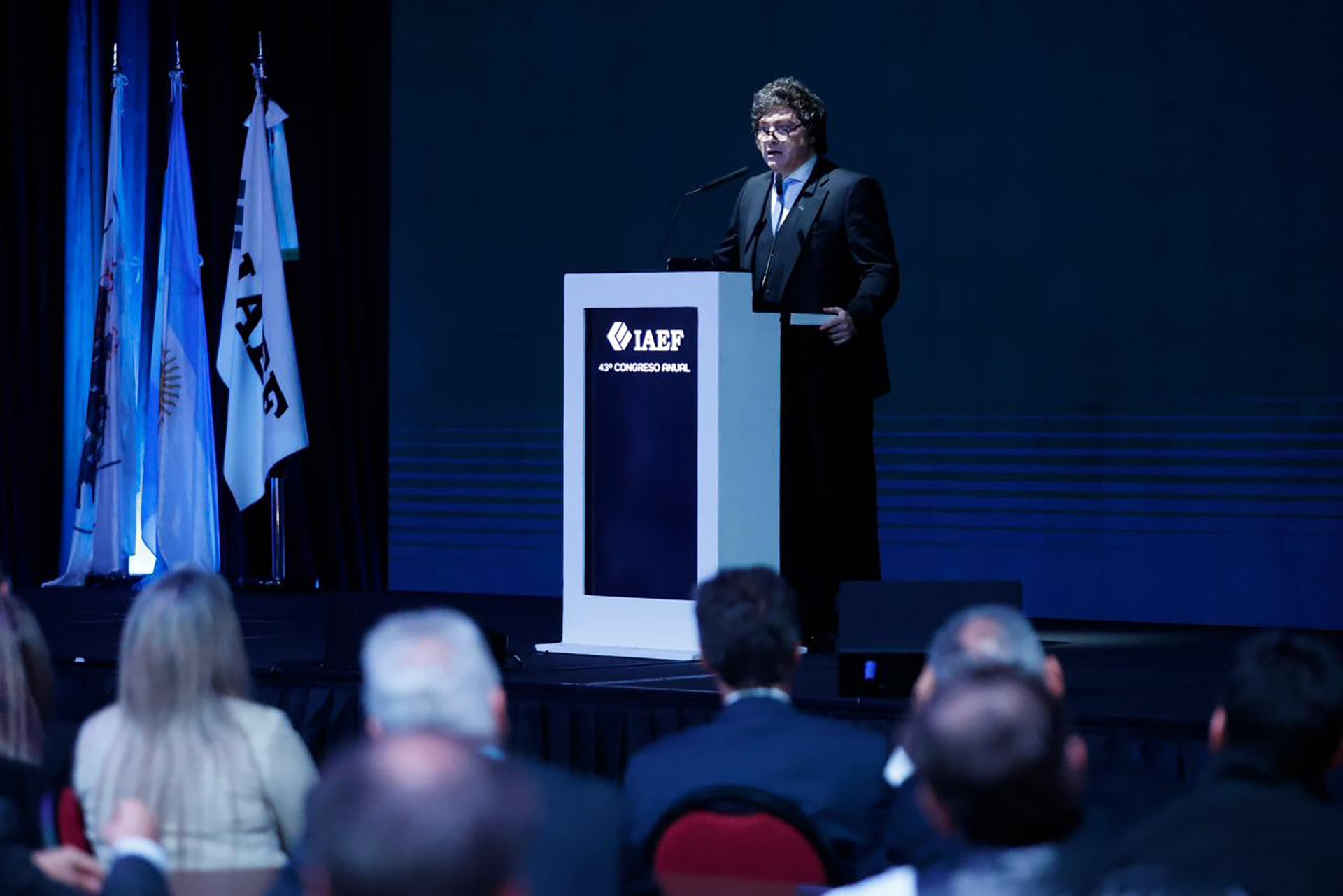 El Presidente disertó en el Congreso Anual de la IAEF