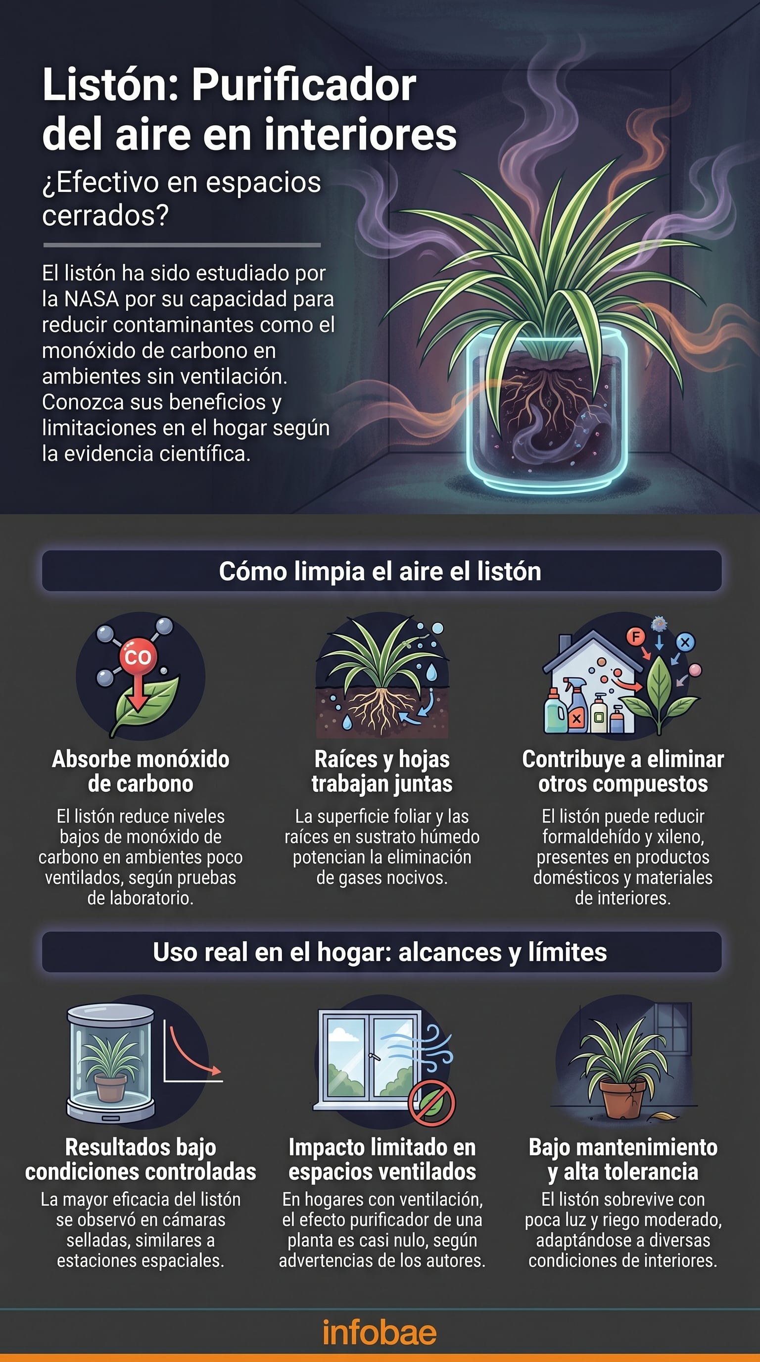 La NASA estudió la capacidad del listón para purificar el aire en ambientes cerrados, demostrando su eficiencia en la reducción de monóxido de carbono y otros compuestos. (Imagen Ilustrativa Infobae)