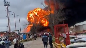 La OMS destaca la importancia