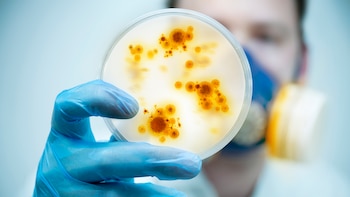 Science and Lab Research.A scientist