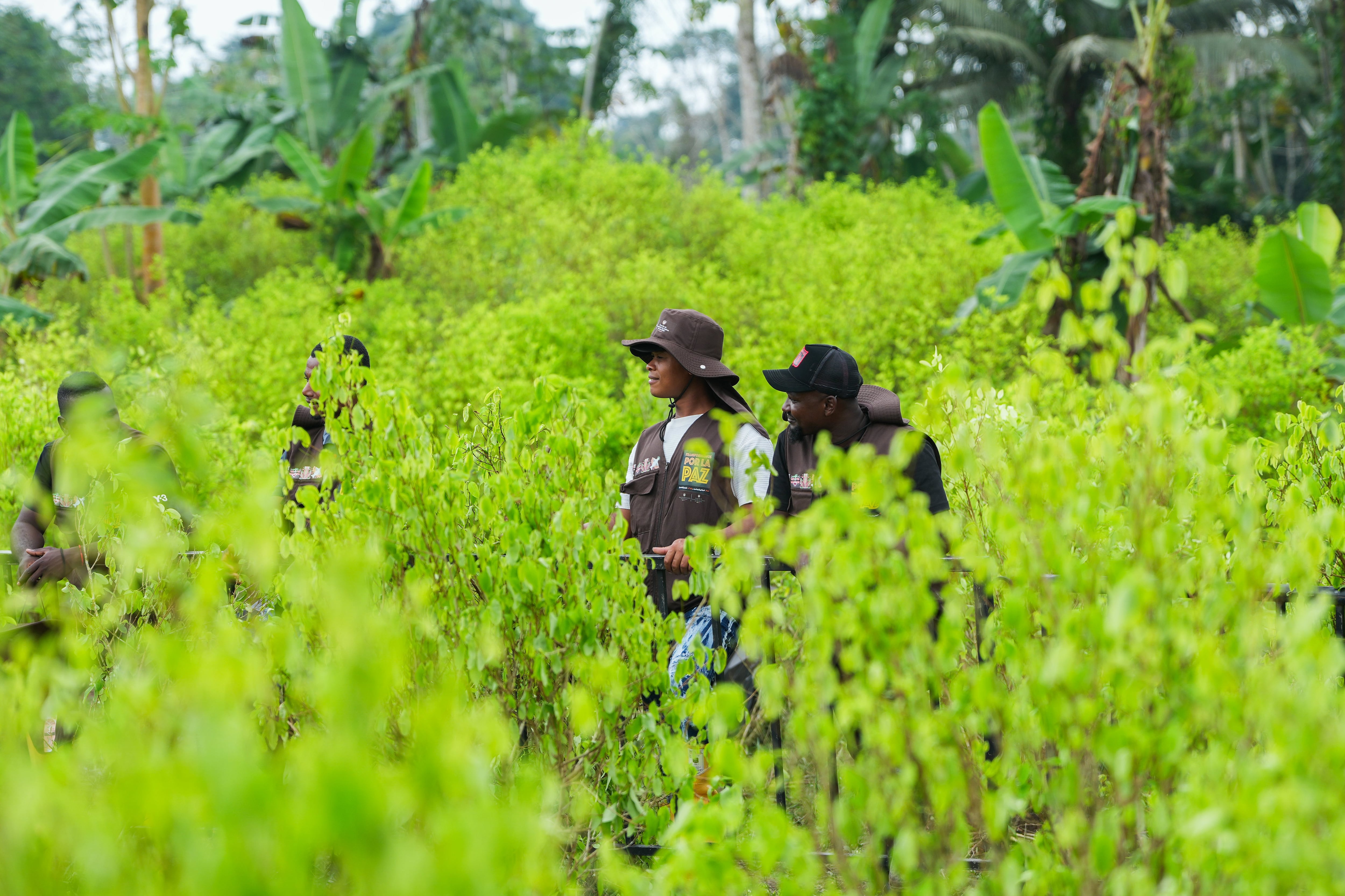 - crédito Juan Diego Cano/Presidencia