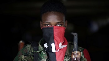 Investigación revela que tras el