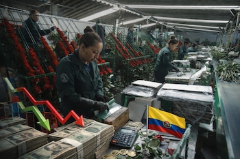 Según un informe de Anif,