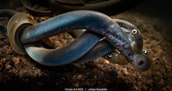 "Abrazo en grupo" 3er puesto