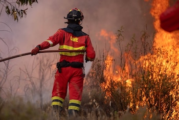 08/08/2026 Trabajos de extinción del incendio en el paraje Raboconejo de Niebla (Huelva).
SOCIEDAD ANDALUCÍA ESPAÑA EUROPA HUELVA
CLARA CARRASCO / EUROPA PRESS